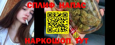 МДПВ Донской