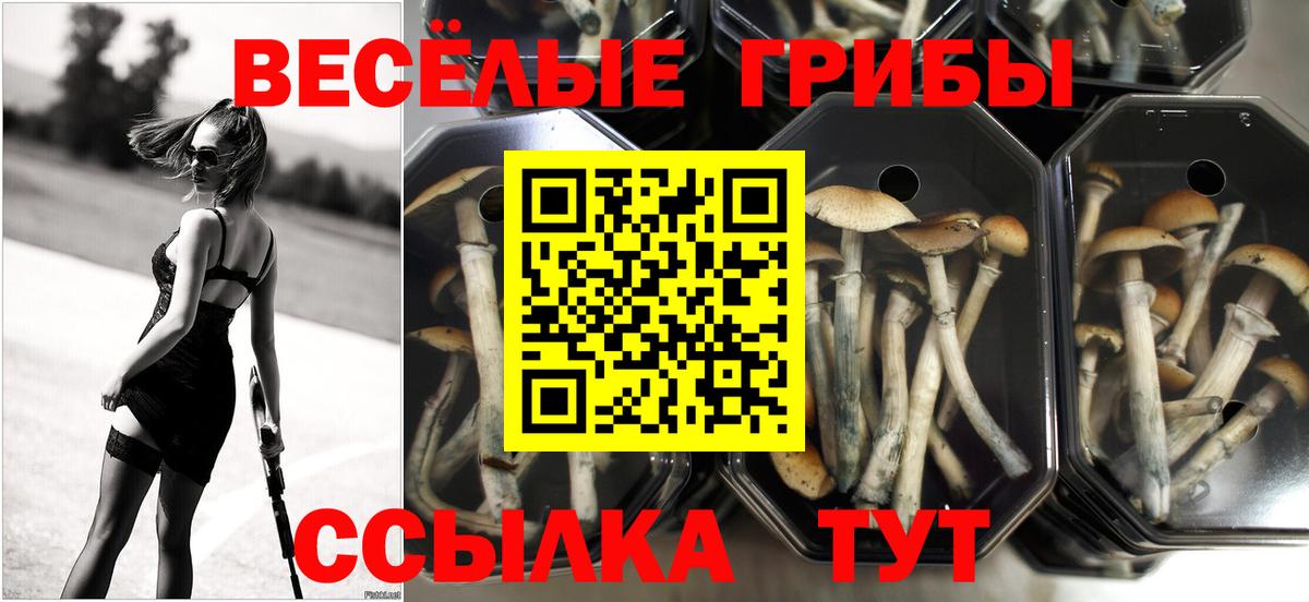 Псилоцибиновые грибы Magic Shrooms Кыштым